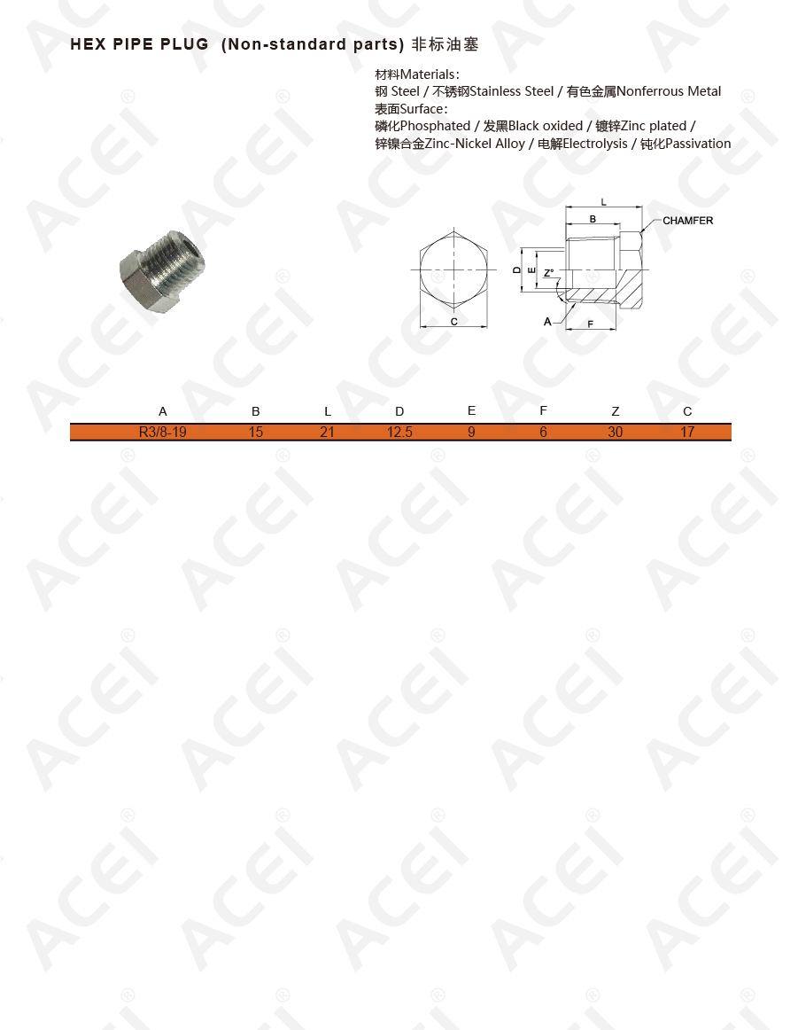 900px-外六角油塞 HEX PIPE PLUG R螺纹-02.jpg